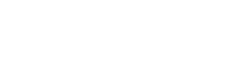 Lighthouse Insurance - Logo 800 White
